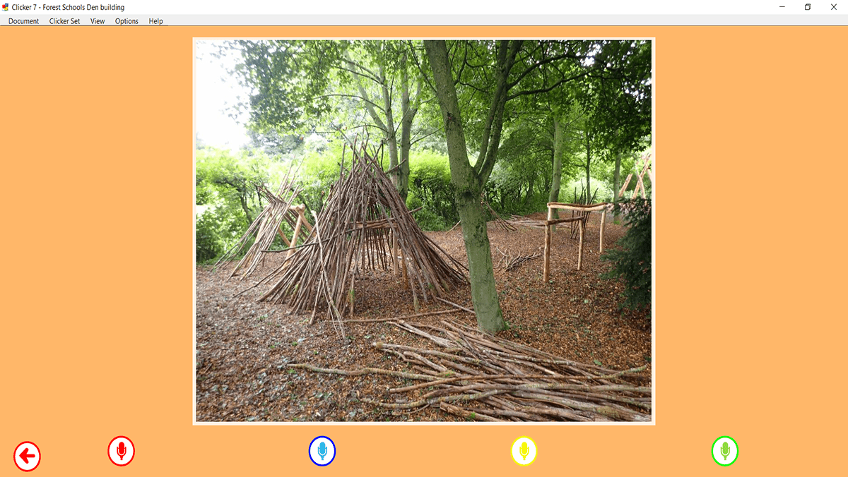 Forest Schools 2_1200x676