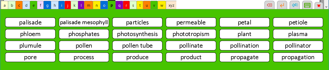 02A Curriculum vocabulary banks